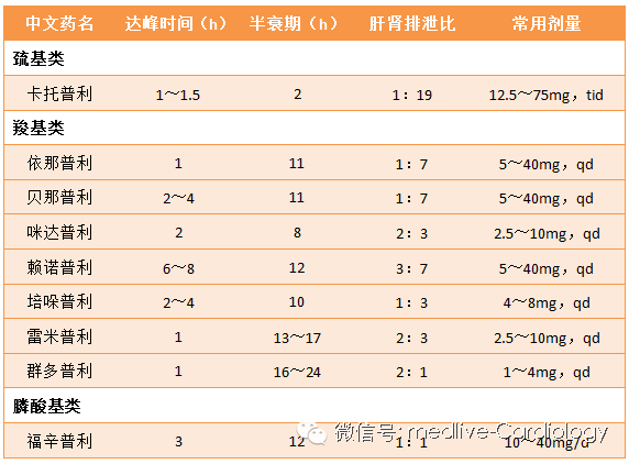 你是下一个 产品图片