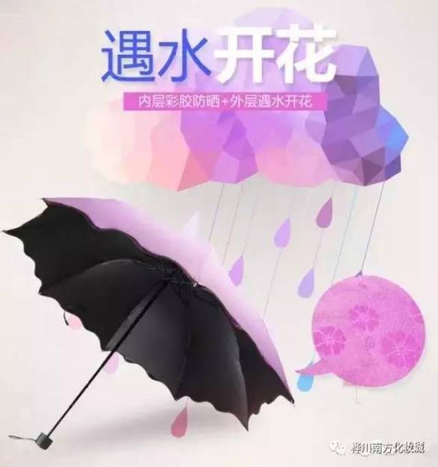 你的鸟儿会唱歌 产品图片