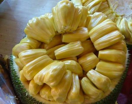 僵尸战士 相关产品