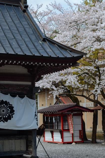 复活她 相关产品