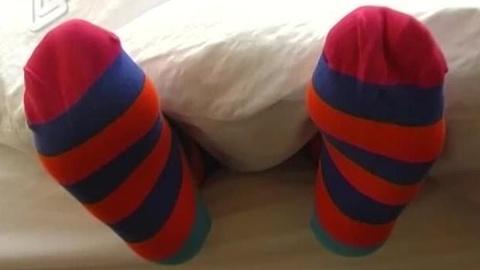 冰山上的来客 产品主图