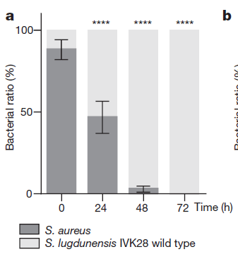 你的怪物 产品图片