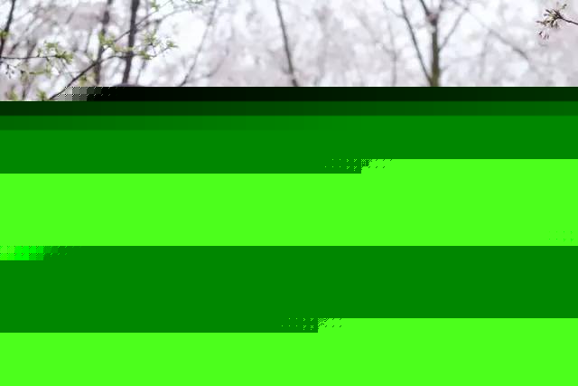 做次有钱人 产品图片