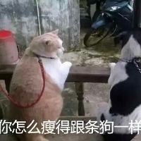 冷血悍将 相关产品