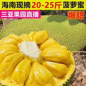 上海皇帝之雄霸天下 产品主图