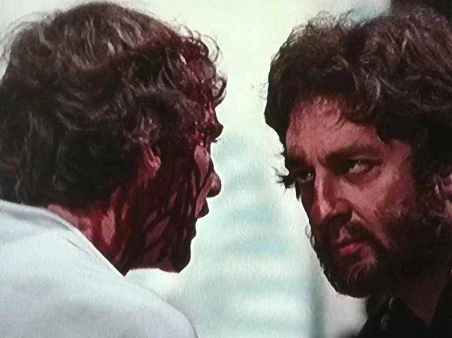 圣母院 产品主图