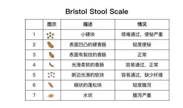 垫底俱乐部 产品图片