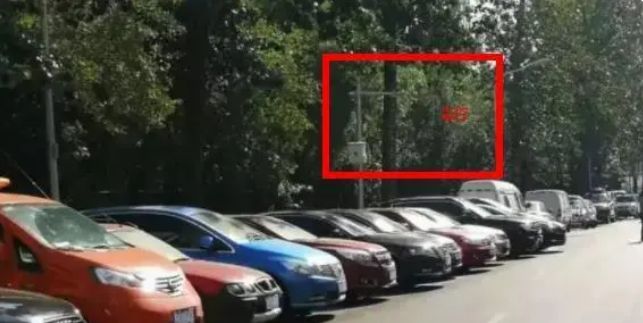 元祖观察之死无对证 相关产品