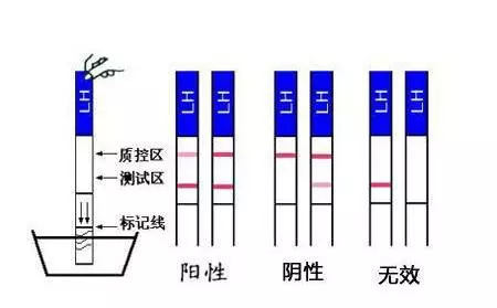 你的一部分 相关产品