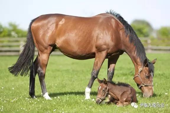 他悄悄溜进她的私信里 相关产品
