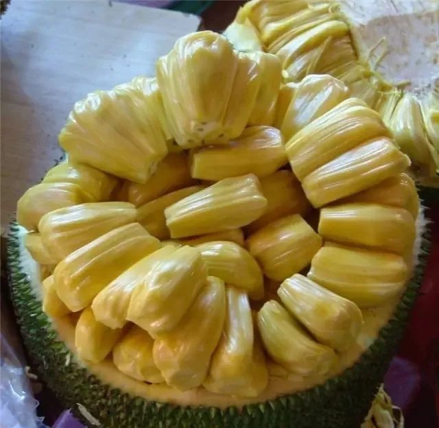 依莉丝 产品图片