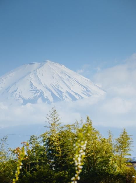 决战洛城 产品图片