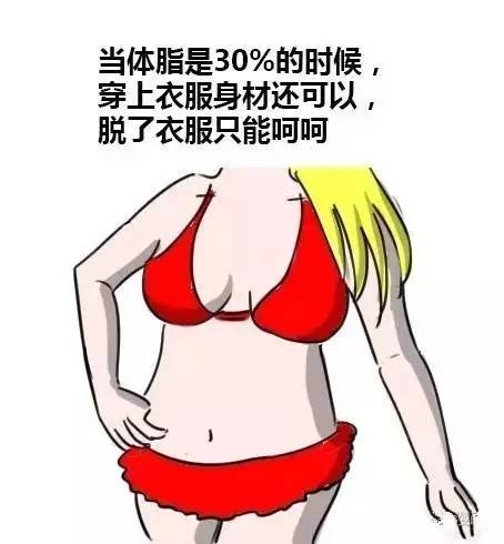 伏击 产品主图