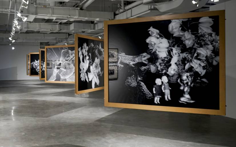 圣诞玫瑰(粤语版) 相关产品