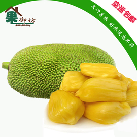 冒牌家庭 相关产品