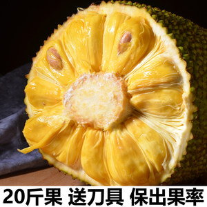 冰河的诅咒 相关产品