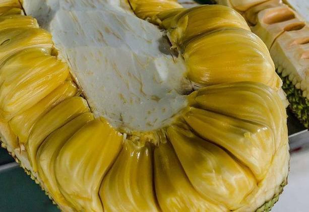 地下赌王 相关产品