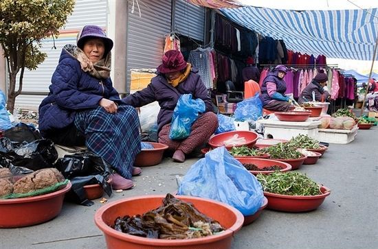 似人非人 相关产品