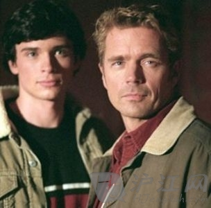 夜蝴蝶 产品图片