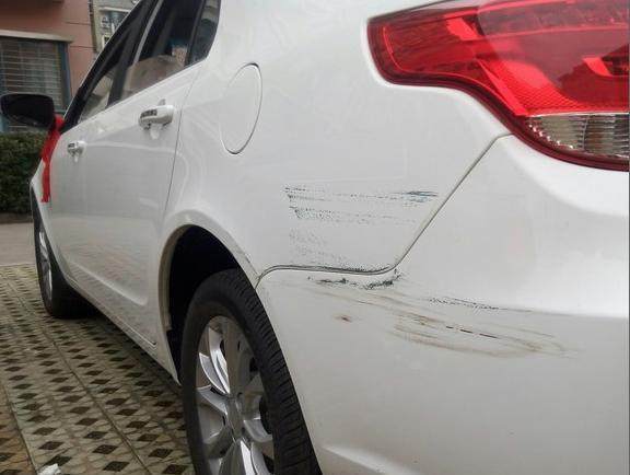 假如猫从世界上消失了 相关产品