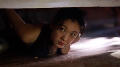 伊甸园计划 相关产品