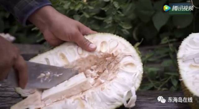 外星入侵2：降雨计划 相关产品