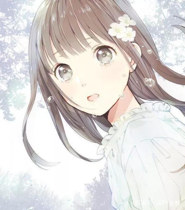 像这样的夏天 推荐产品