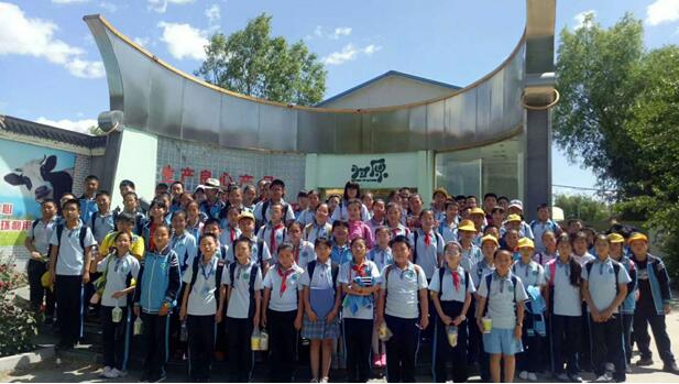 假偶天成 电影版 相关产品