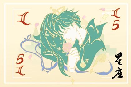 企鹅公路 相关产品