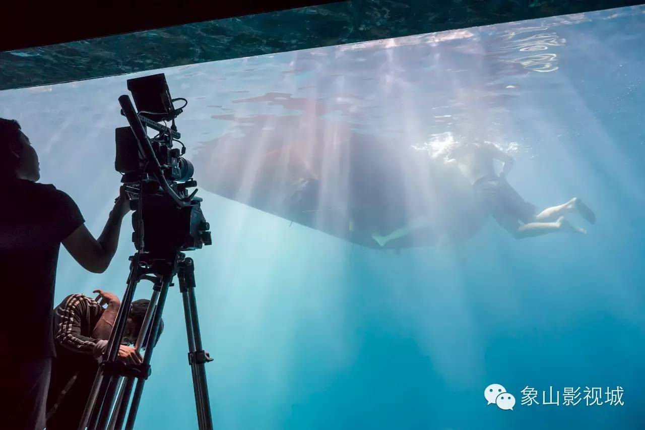 何去何从 相关产品