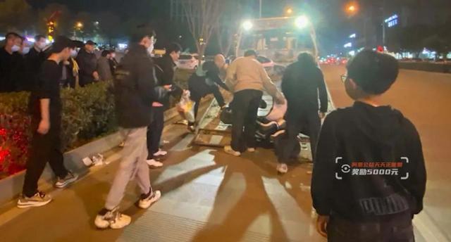 你好弗里达 产品图片