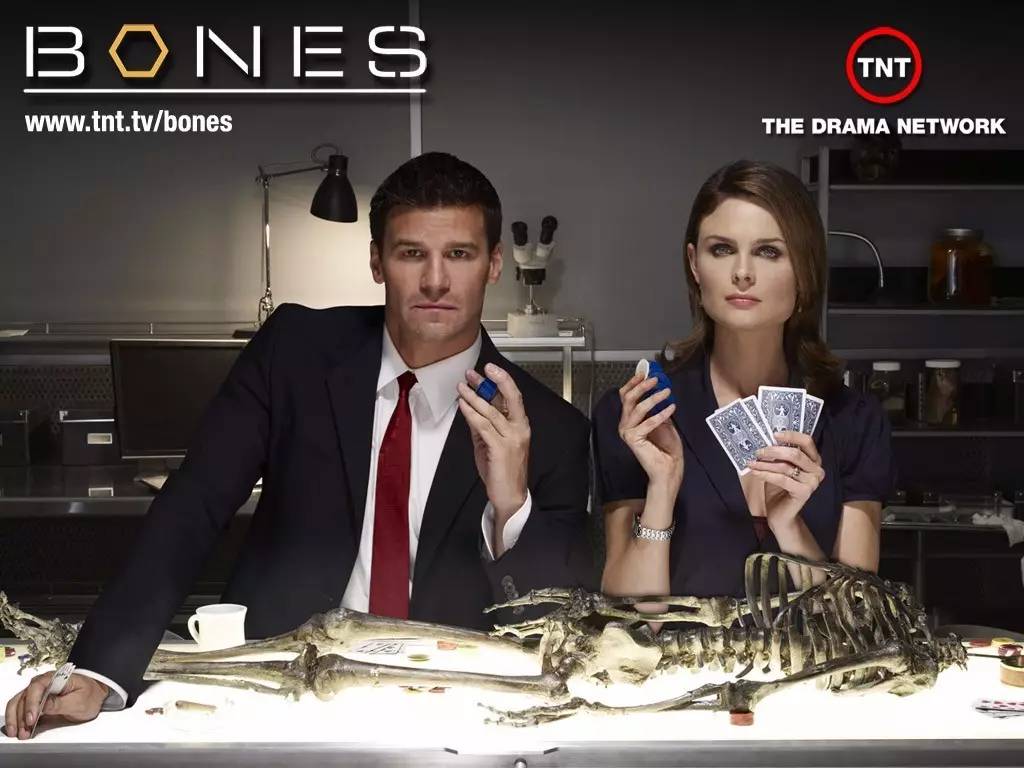 在巨大的洋葱之下 产品图片