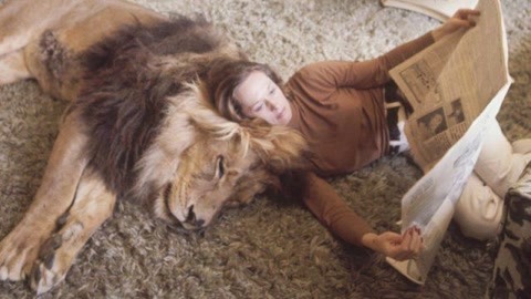 偷说我爱你 产品主图