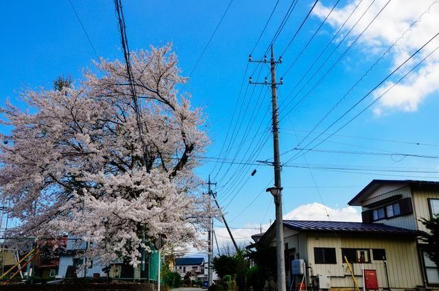 坐着火车上北京 产品主图