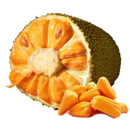 侏罗纪公园2：失落的世界（国语版） 相关产品