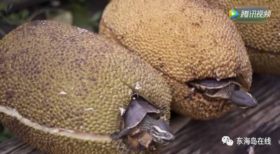 台上台下 产品图片