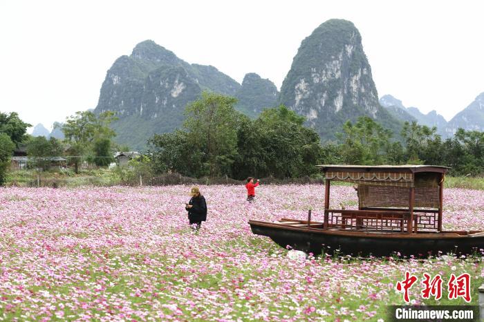 保姆日记 产品图片