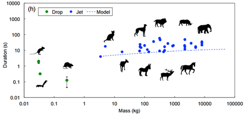 嗳！乡下女孩 相关产品