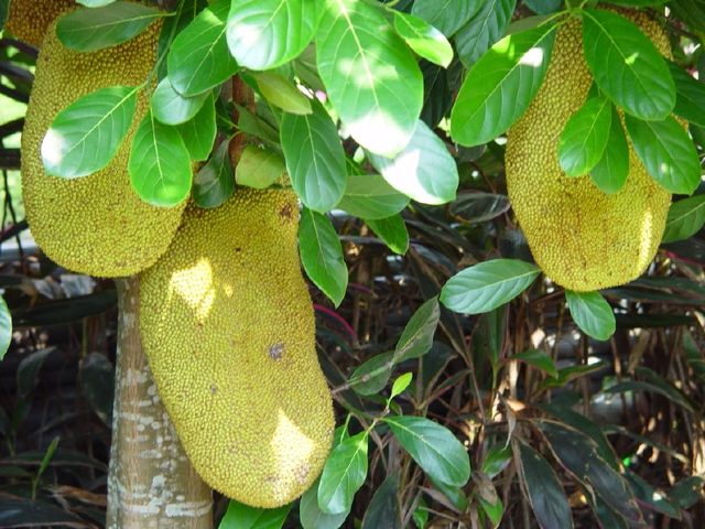 博尔登 相关产品