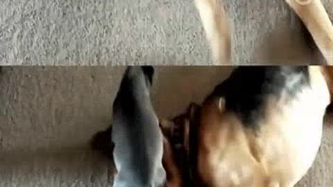 塔拉德加之夜 推荐产品