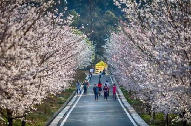 圣诞前夕（国语版） 相关产品