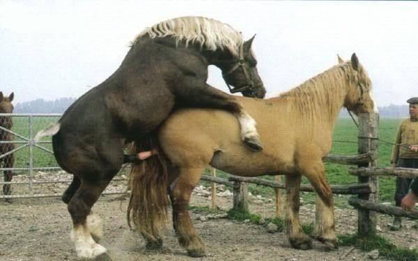 会计刺客（普通话版） 相关产品