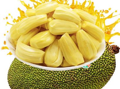 命运疾走中 相关产品