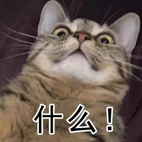 依莉丝 相关产品