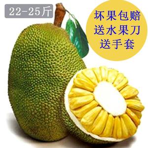 冰上轻驰 相关产品