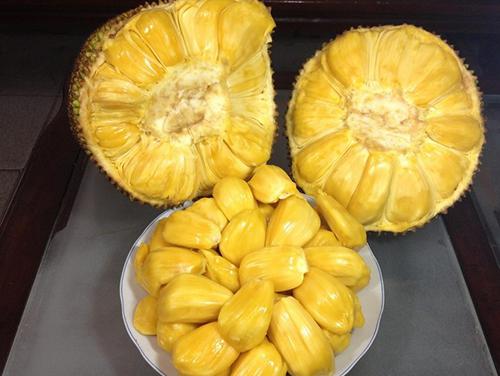 夏日春情 相关产品