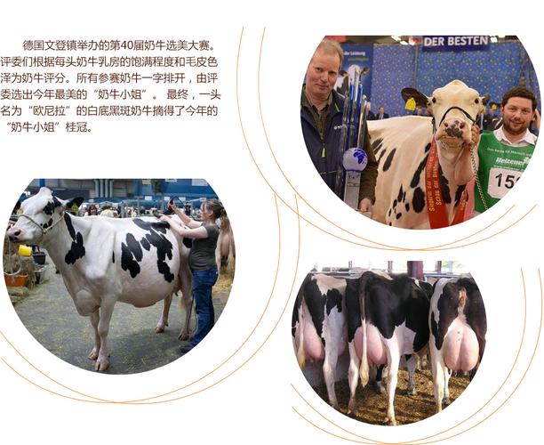 何方神圣 产品图片