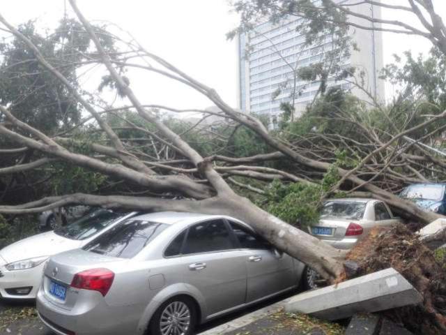 发丘天官：昆仑墟 产品图片