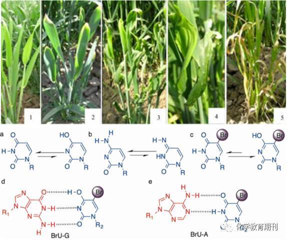 低下层 相关产品
