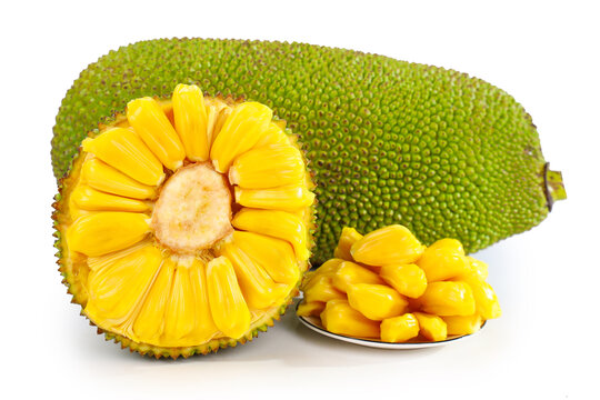 向上猴子 推荐产品